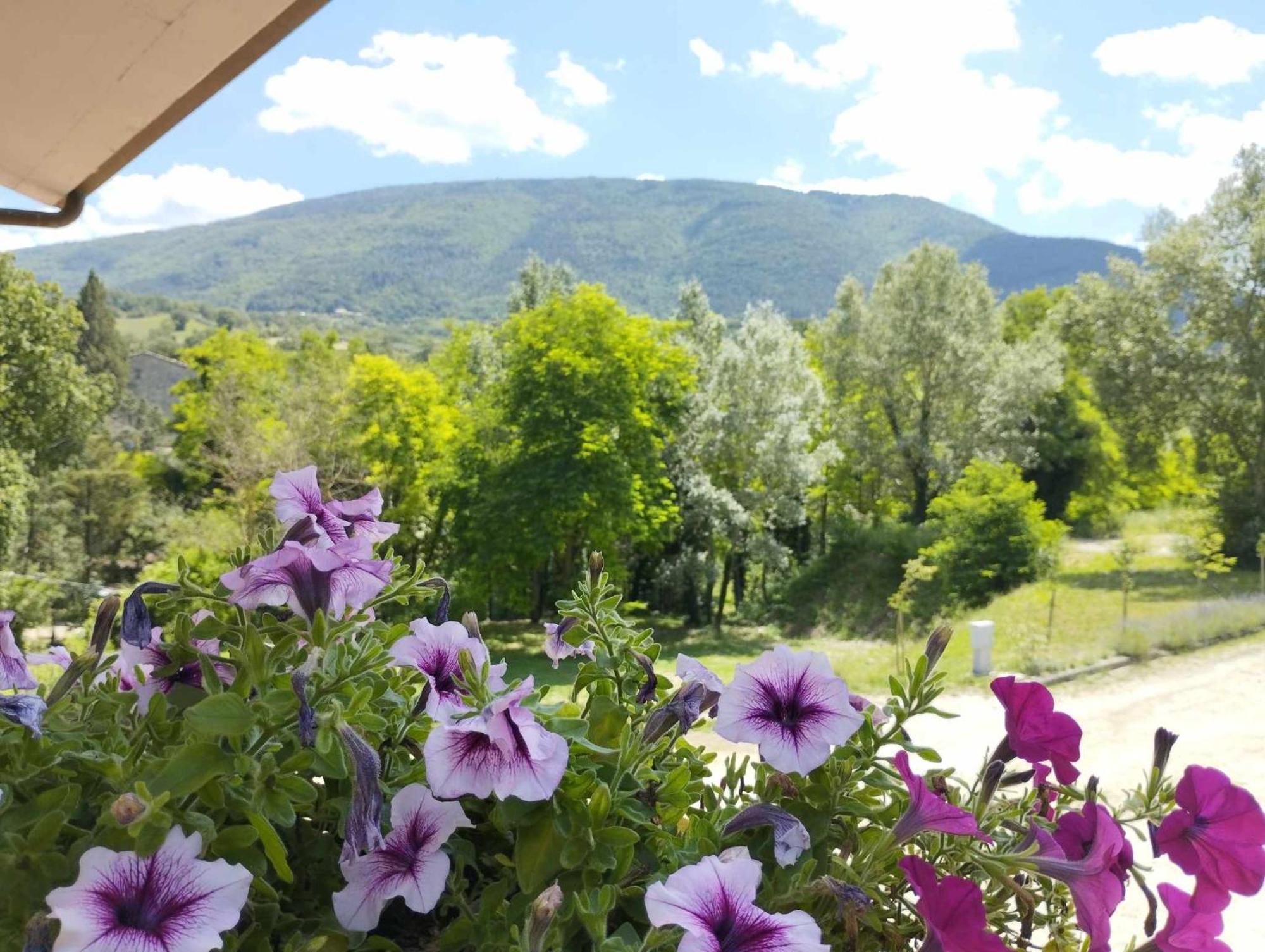 Pianpieve Nature & Relax Apartments 아시시 외부 사진