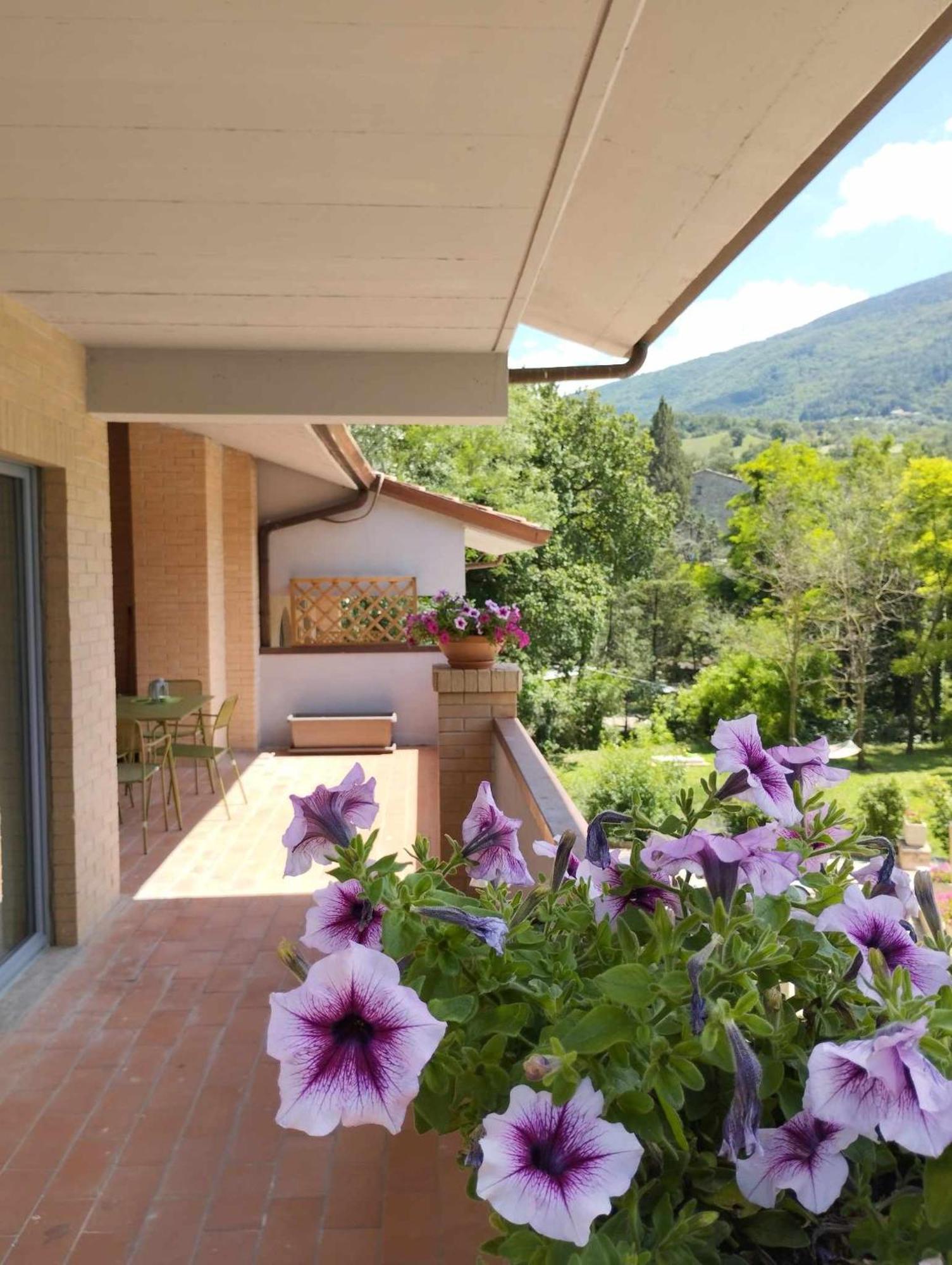 Pianpieve Nature & Relax Apartments 아시시 외부 사진