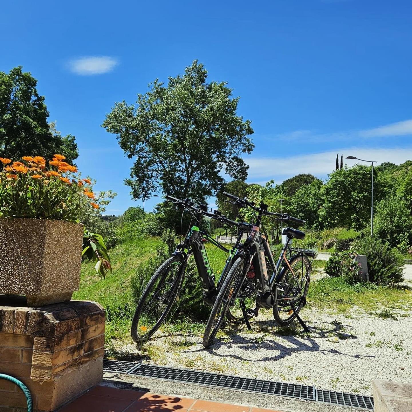 Pianpieve Nature & Relax Apartments 아시시 외부 사진